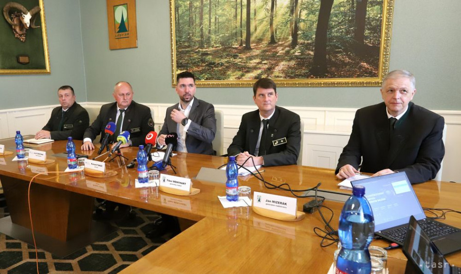 Lesy SR: Zníženie počtu pracovných miest je súčasťou opatrení