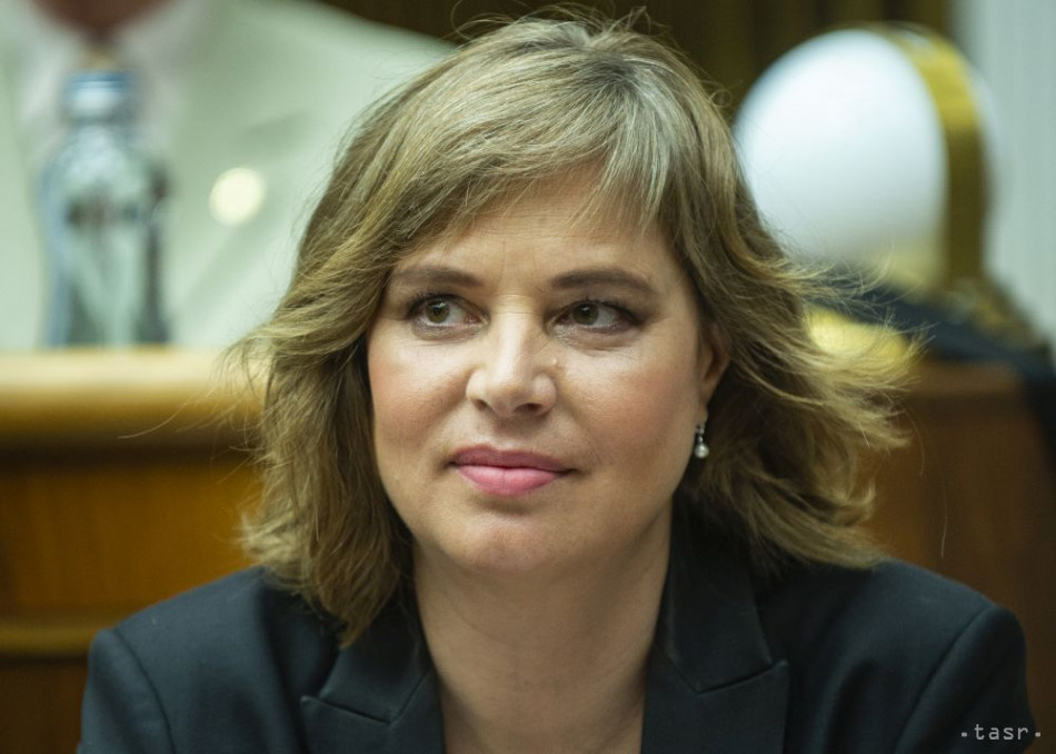 Remišová žiada zastaviť podozrivý prenájom prístavných miest na Dunaji