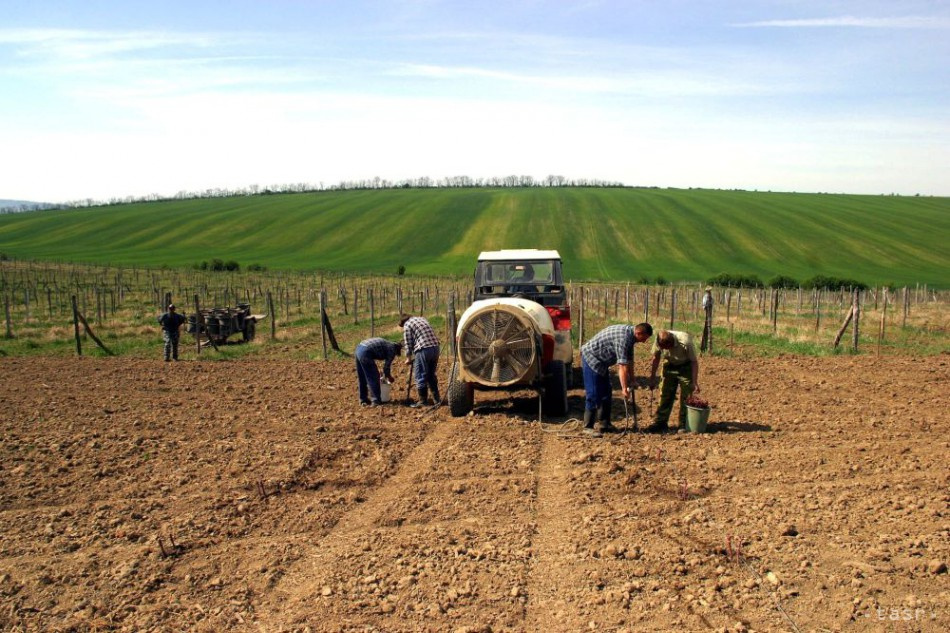 Svetová banka: Nárast cien hnojív ohrozuje potravinovú bezpečnosť